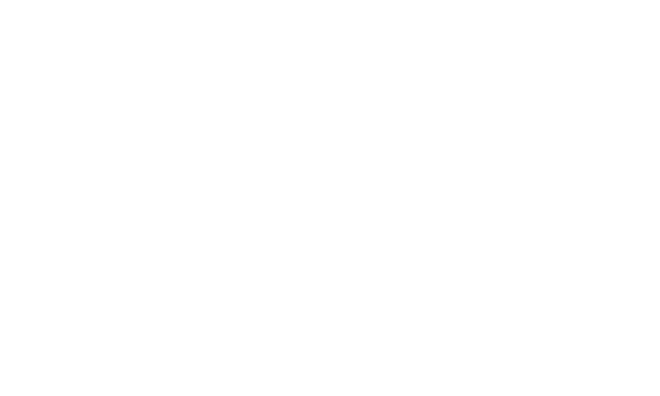 Voila